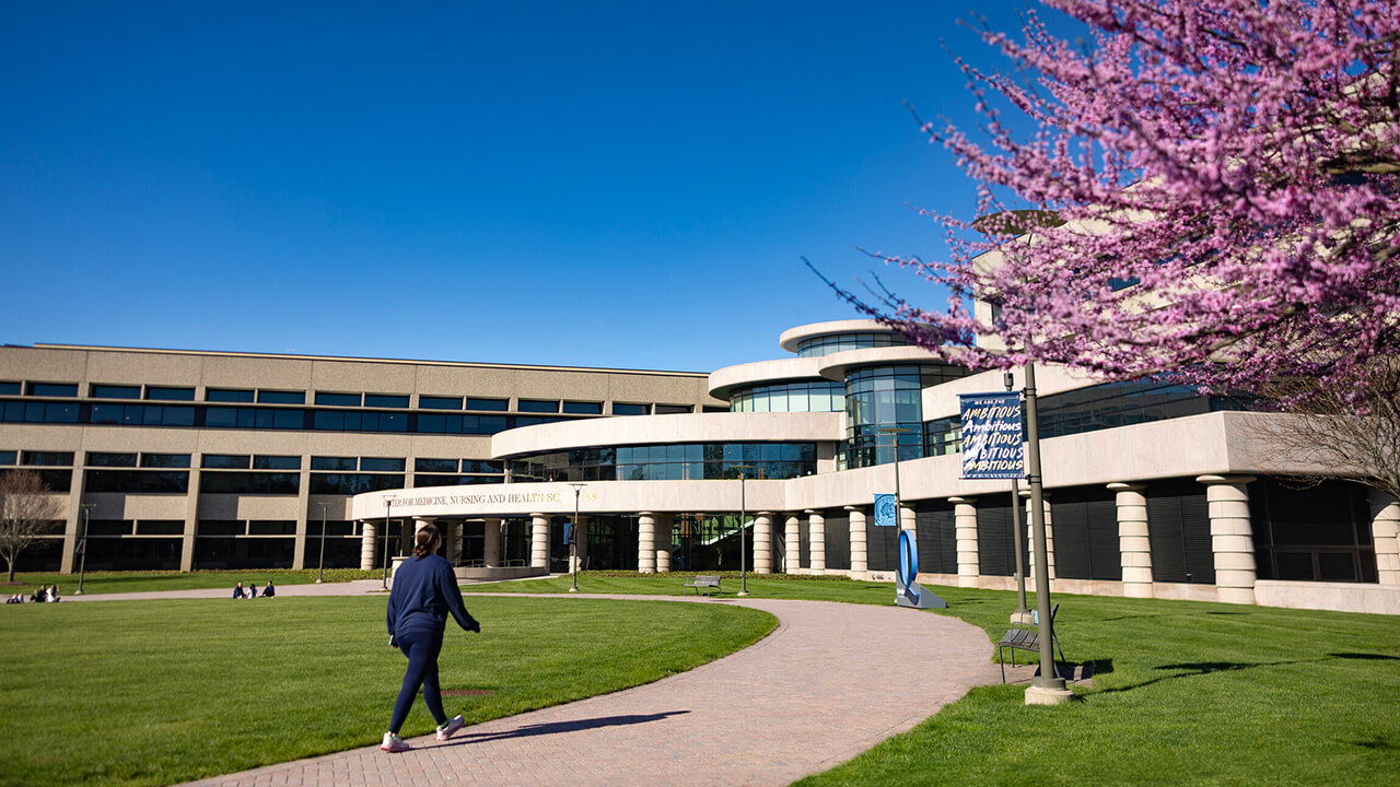 Exterior shot of the North Haven Campus